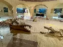 Day Tour to The Fayoum From Cairo
